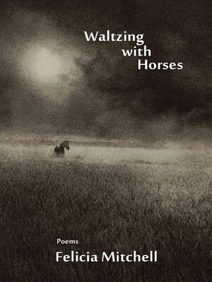 cover image of Waltzing with horses